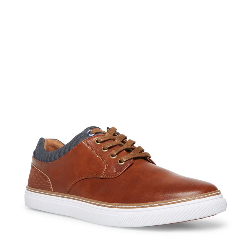 Zapatillas Steve Madden Gully Cuero Hombre Marrones | ES DTSE06